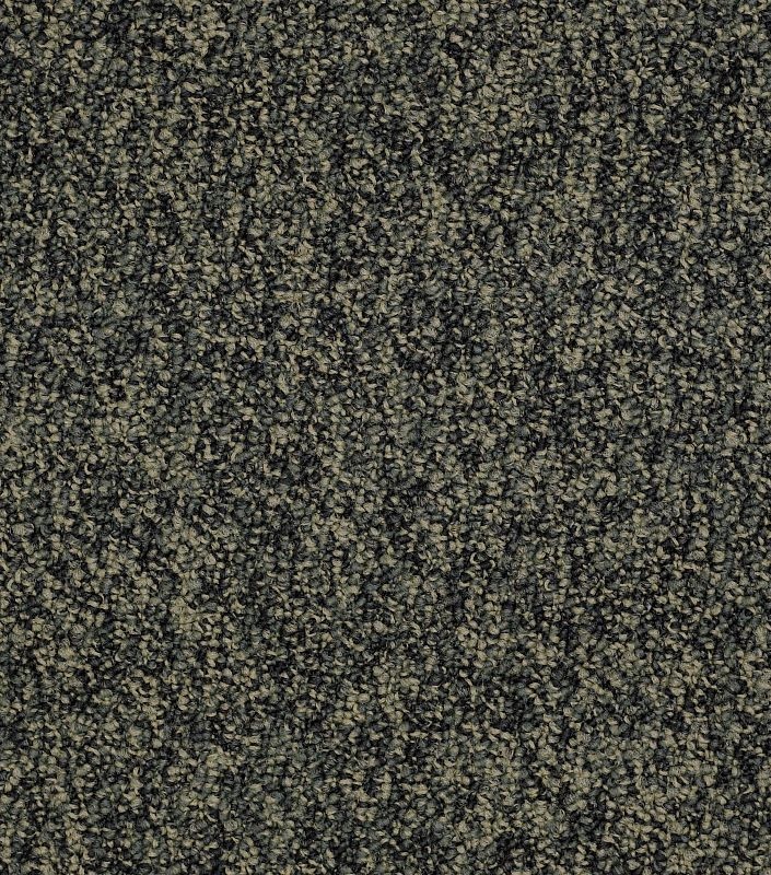 Philadelphia No Limits Tile Boundless Nylon Carpet Tile - Loop - 24" X 24"