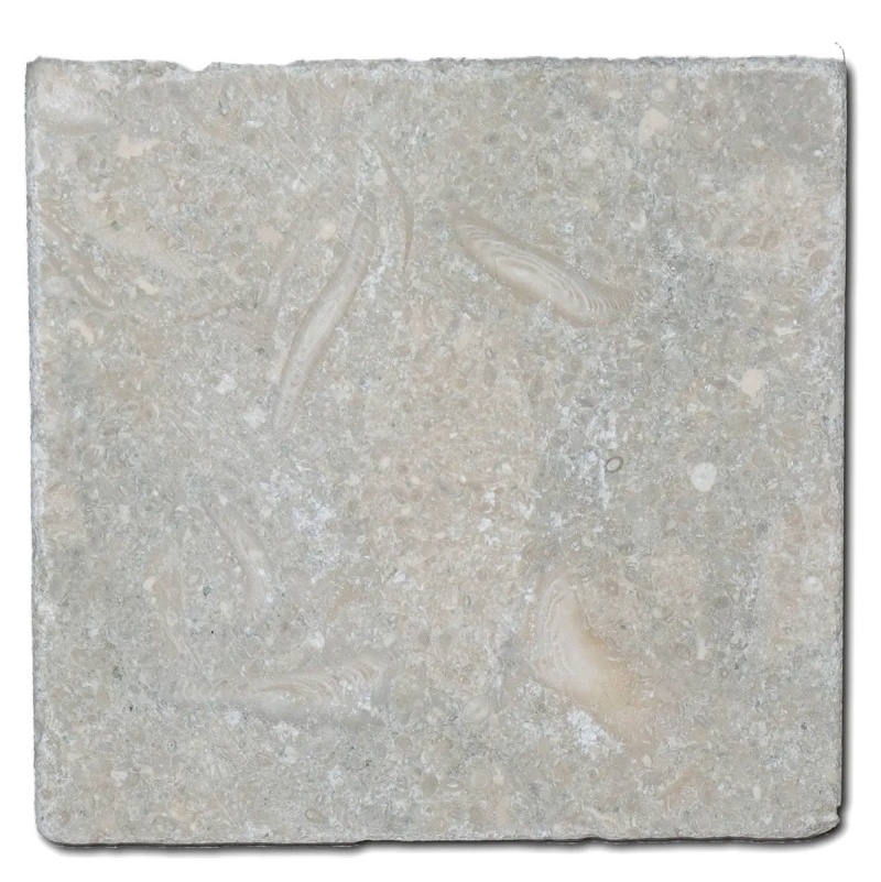 Sea Grass Limestone Tile - Antique