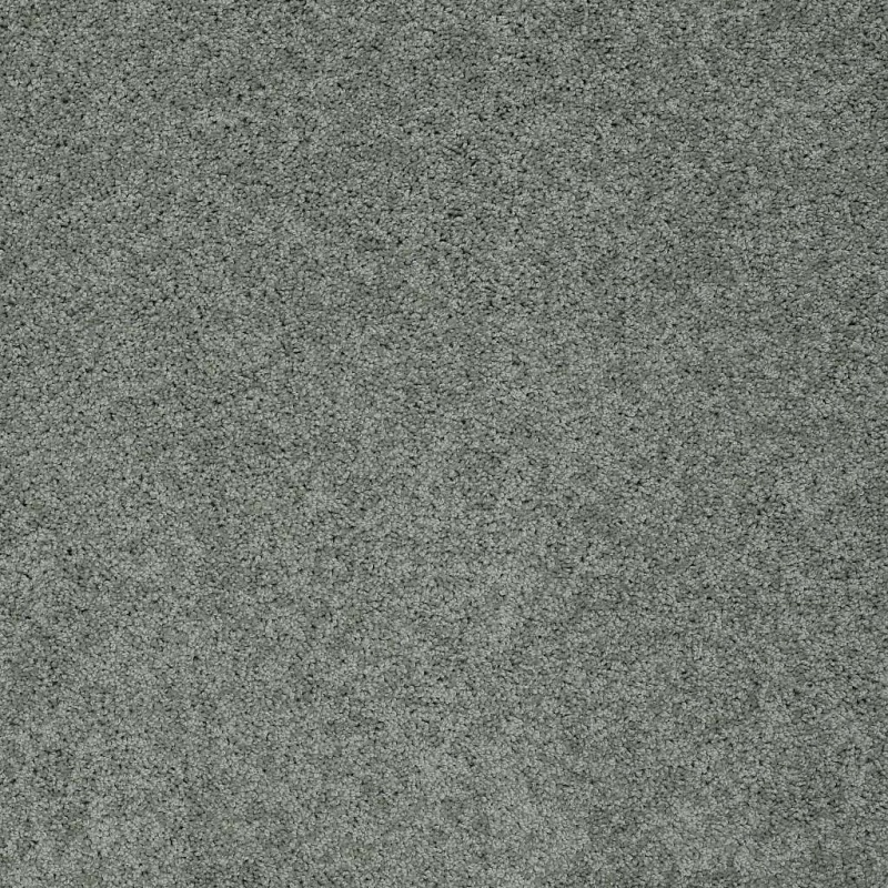 Soft Shades My Choice I Silver Sage Nylon Carpet - Textured