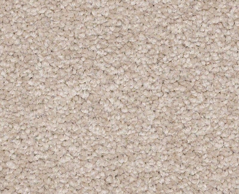 Bright Spirit Ii 15' Soft Shadow Nylon Carpet - Textured