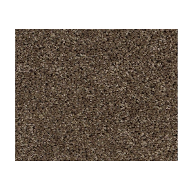 Dawning Townhouse Nylon Carpet - Textured