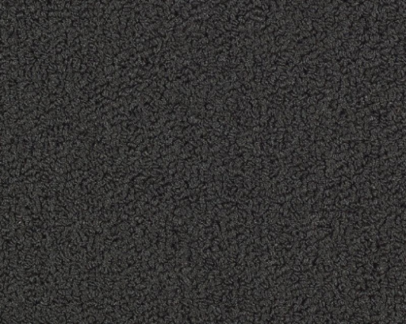 Color Accents BL Black Nylon Carpet - Loop