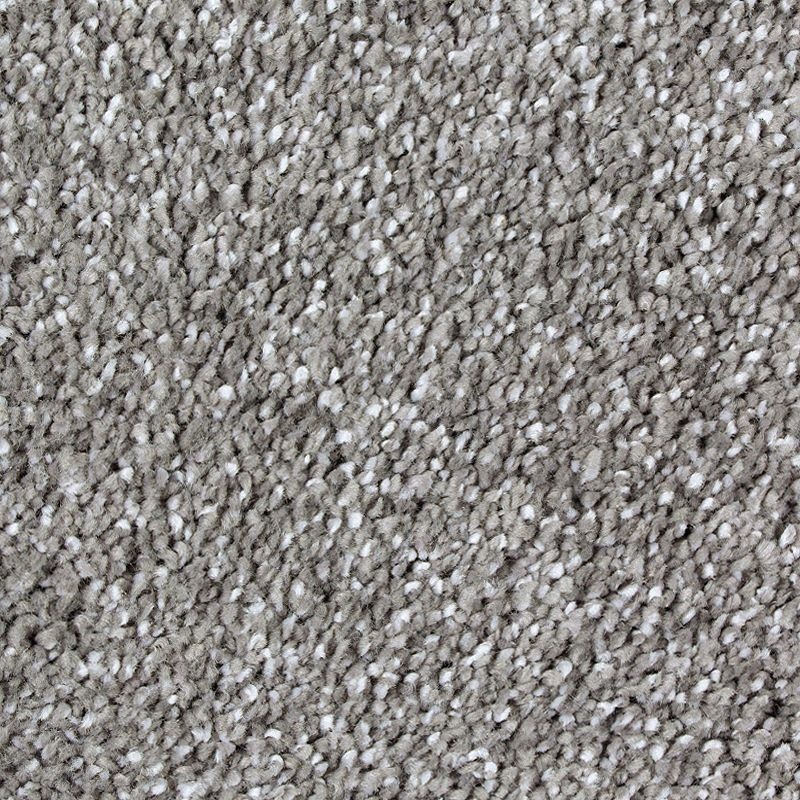 Exquisite Tones Statuary Triexta Carpet - Textured