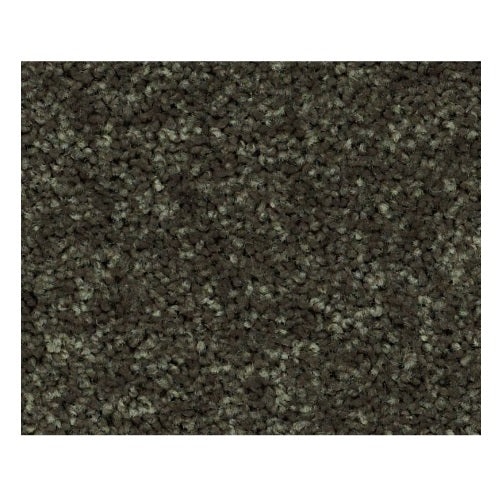 Qs232 Garden Grove Polyester Carpet - Textured