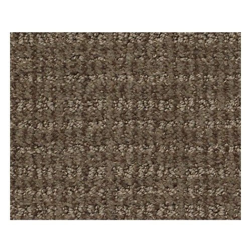 Sc Beach Antique Chest Nylon Carpet - Pattern