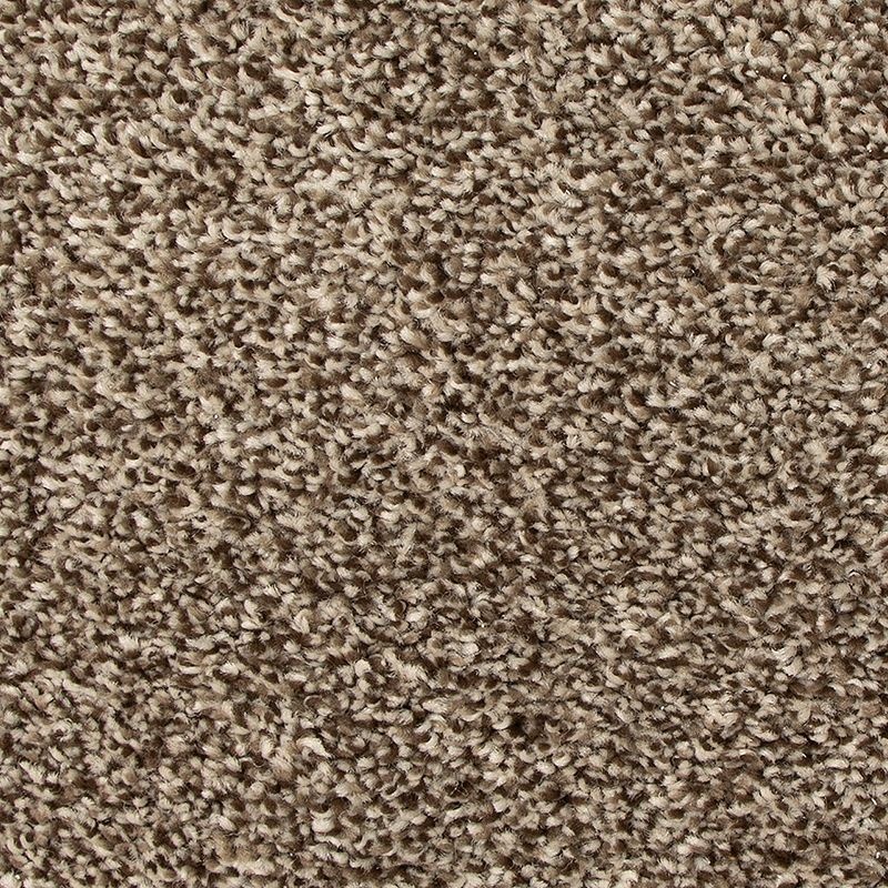 Refreshing Charm Allure Polyester Carpet - Textured
