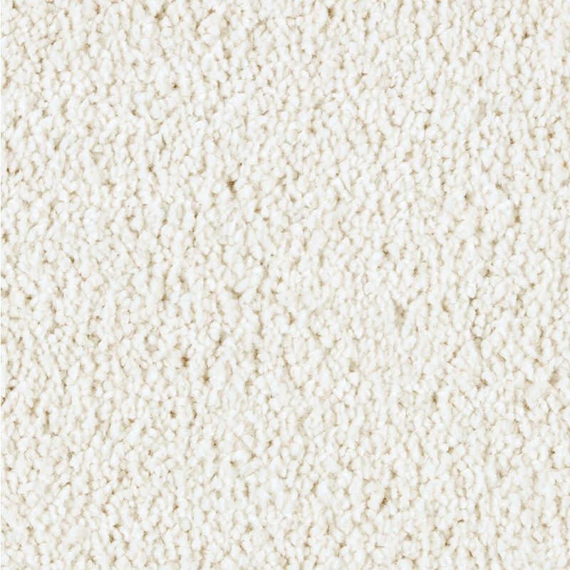 Exquisite Attraction High Style Triexta Carpet - Textured