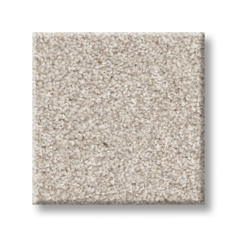 Foundations Harmonious Iii Gallery Opening Nylon Carpet - Textured