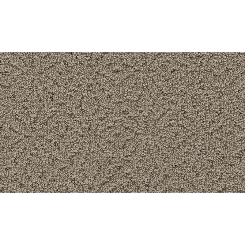 Exquisite Charm Cosmopolitan Triexta Carpet - Pattern