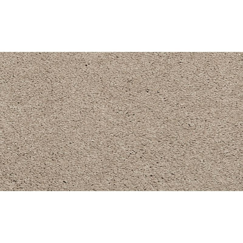 Luxuriant Feel Twine Triexta Carpet - Textured
