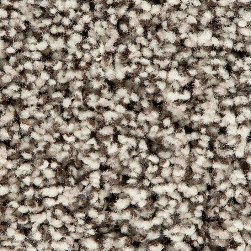 Soft Accolade I Whisper Polyester Carpet - Textured