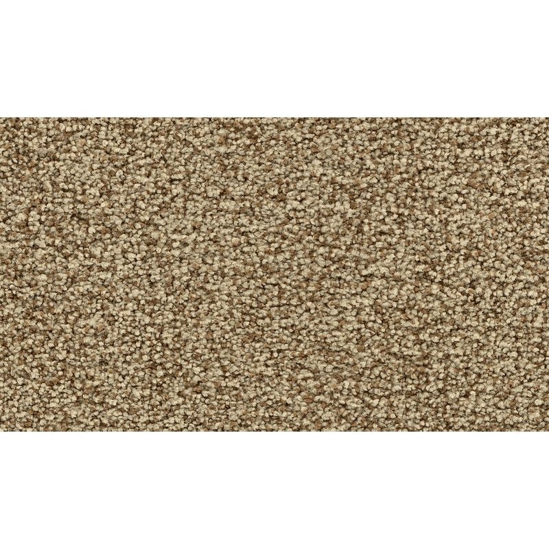 Enchanting Glamour Champagne Nylon Carpet - Textured