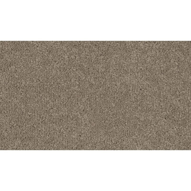 Coastal Fashion Iii Bliss Nylon Carpet - Textured