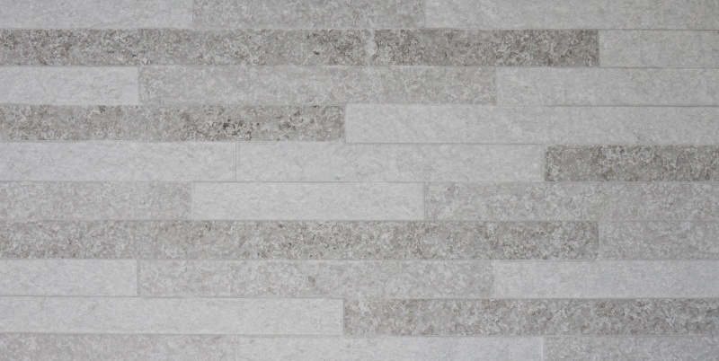 Belgica Bone Porcelain Tile - Matte - 12" x 24"