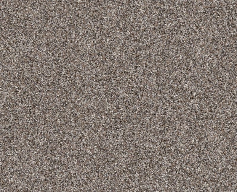 Yes You Can Ada1 12' Chic Greige Polyester Carpet - Textured