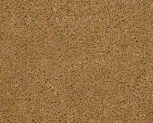 Emphatic II 36 Gold Coast Nylon Carpet - Textured