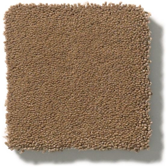 Perfect Choice Mystic Brown Nylon Carpet - Textured