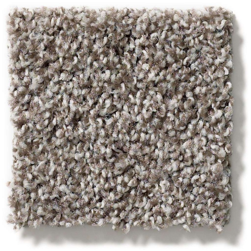 Poised Chic Taupe Nylon Carpet - Textured