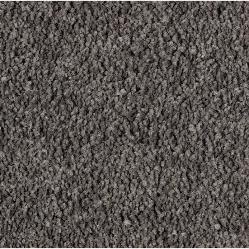Exquisite Attraction Diplomacy Triexta Carpet - Textured