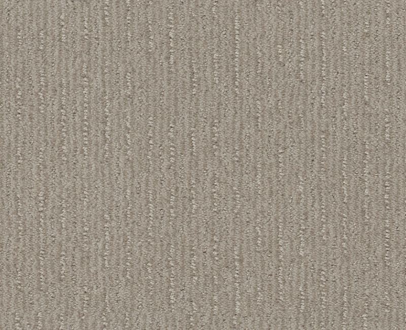 Well Informed Quiet Moment Nylon Carpet - Textured