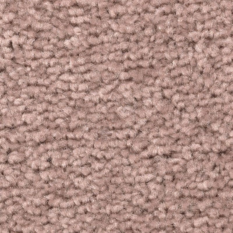 Treasure Valley Rose Polyester Carpet - Textured