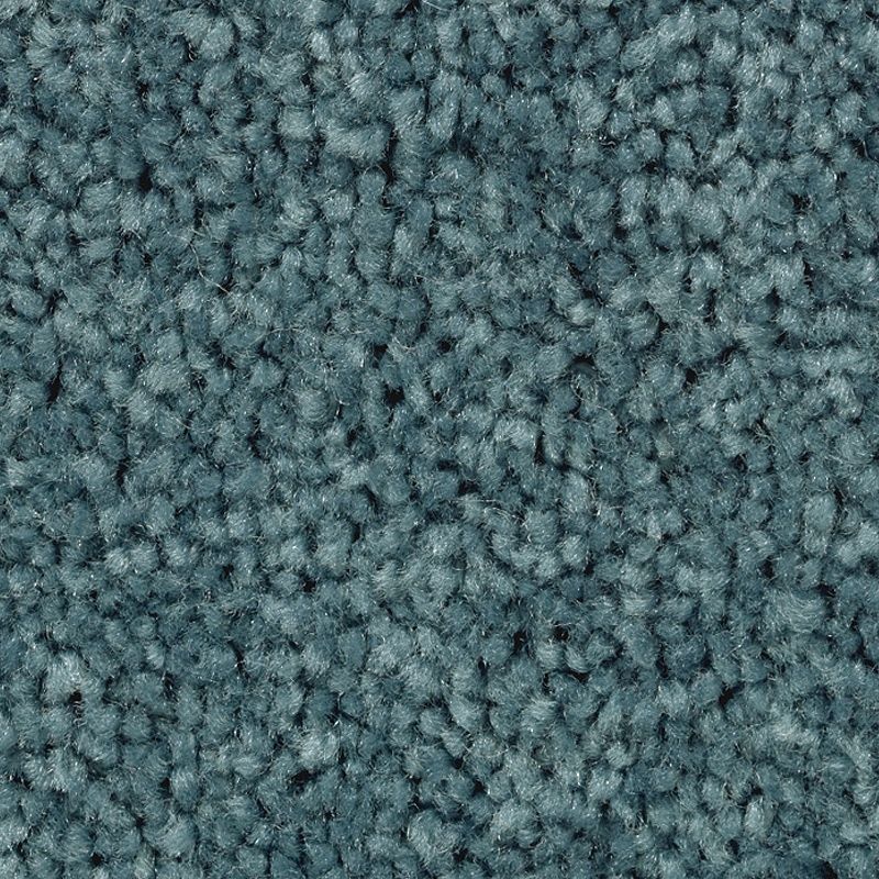 Treasure Valley Crown Jewel Polyester Carpet - Textured