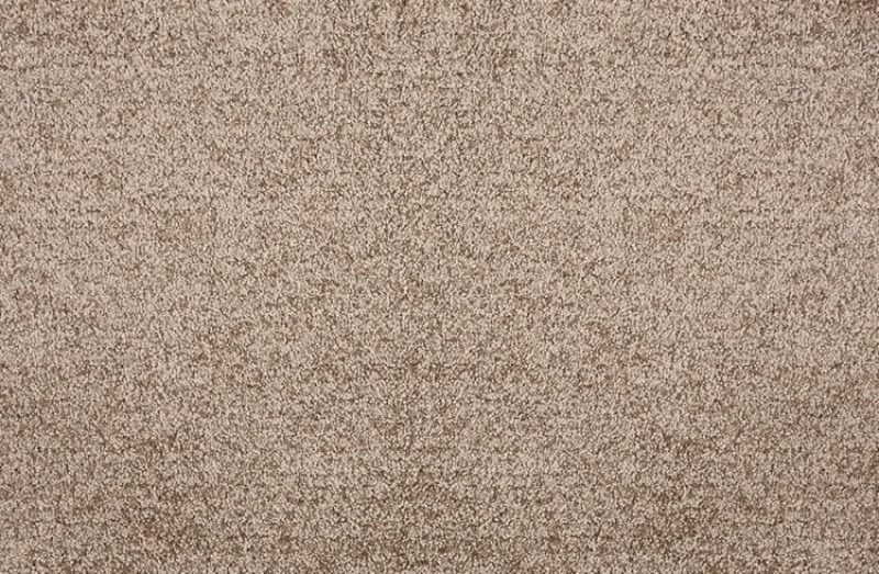 Stanton Pet Guard Noble Caramel Loop Carpet