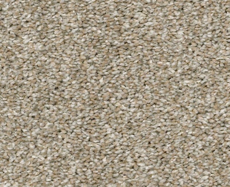 You Got It Ii Raw Wood Polyester Carpet - Textured