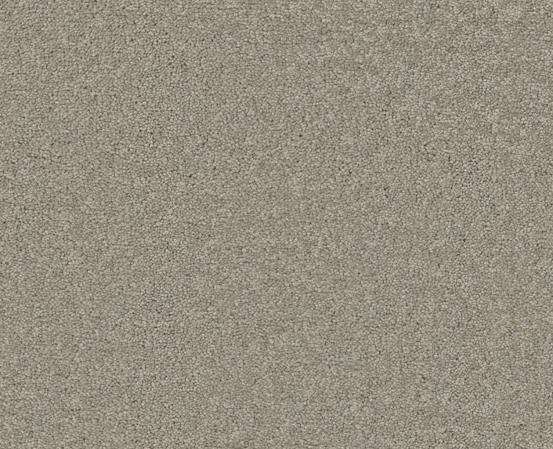 Endura I 12' Silver Charm Nylon Carpet - Pattern