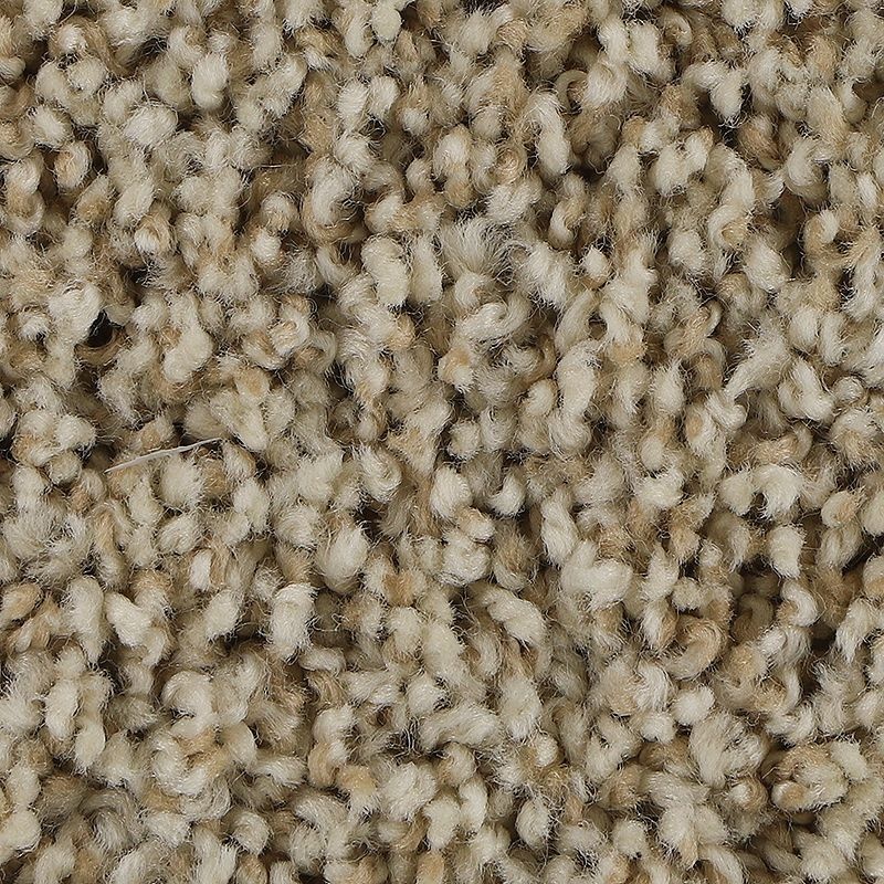 Soft Aspect Quiet Beige Polyester Carpet - Textured