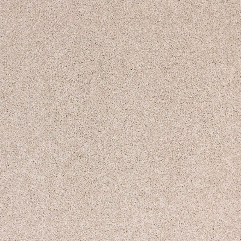 Radiant Beauty Luminary Polypropylene Carpet - Textured