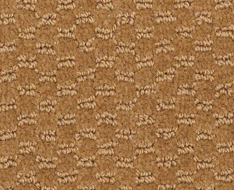 Clearance Sale! Latest Trend Light Gold Nylon Carpet - Pattern