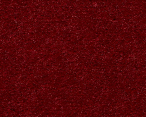 Emphatic II 36 Garnet Rose Nylon Carpet - Textured