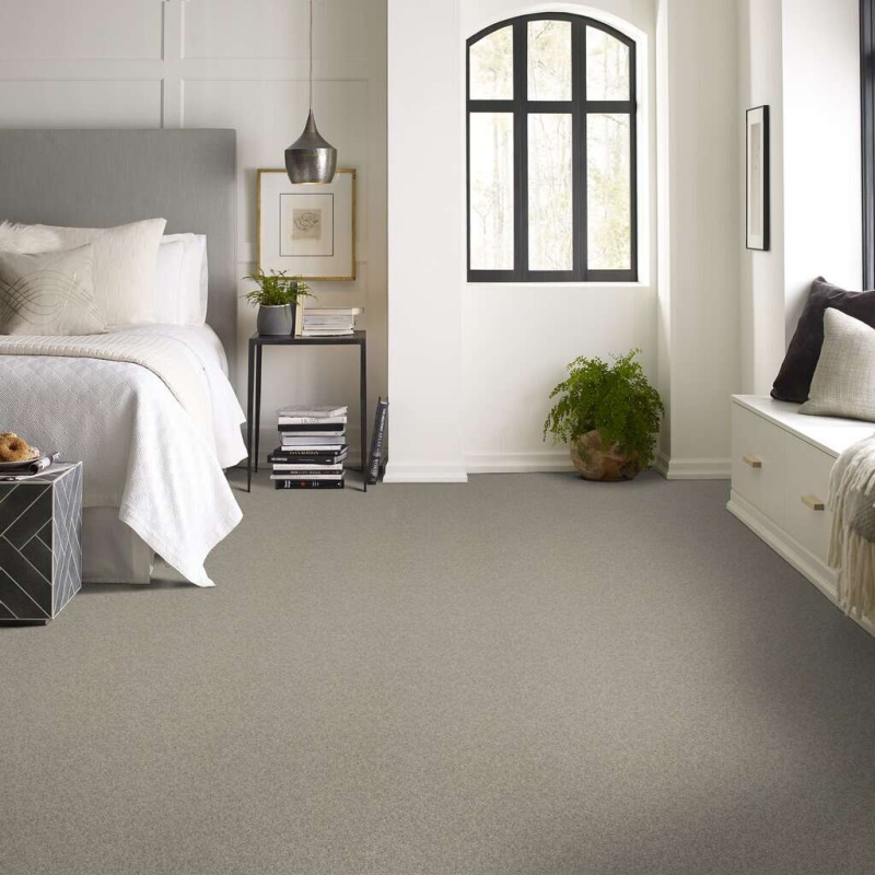 Soft Shades My Choice Iii Rocky Coast Nylon Carpet - Textured