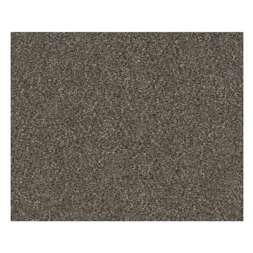 Without Limits I Boardwalk Polyester Carpet - Textured