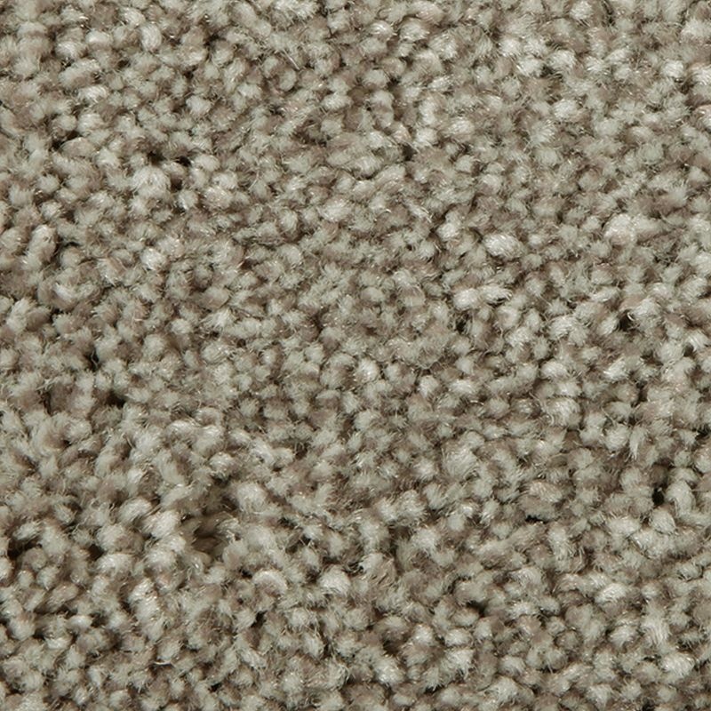 Distinct Beauty I Woodland Polyester Carpet - Textured