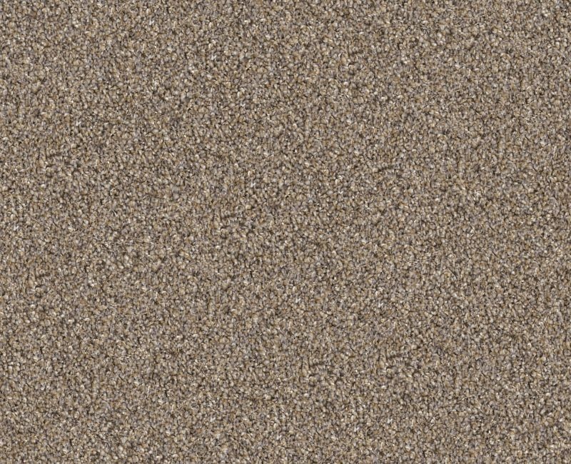 Cavallini Raw Wood Polyester Carpet - Loop