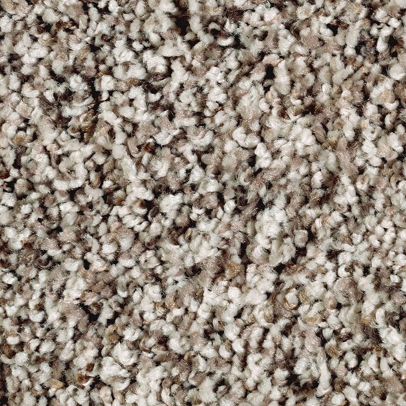 Softly Elegant Ii Ancestral Haze Polyester Carpet - Textured