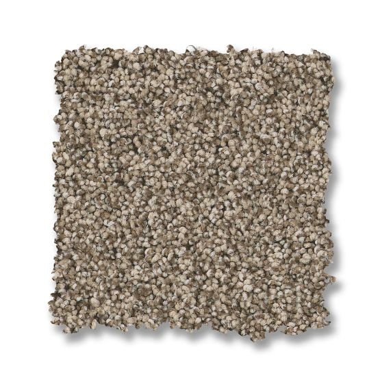 Taupe Textured Nylon Carpet