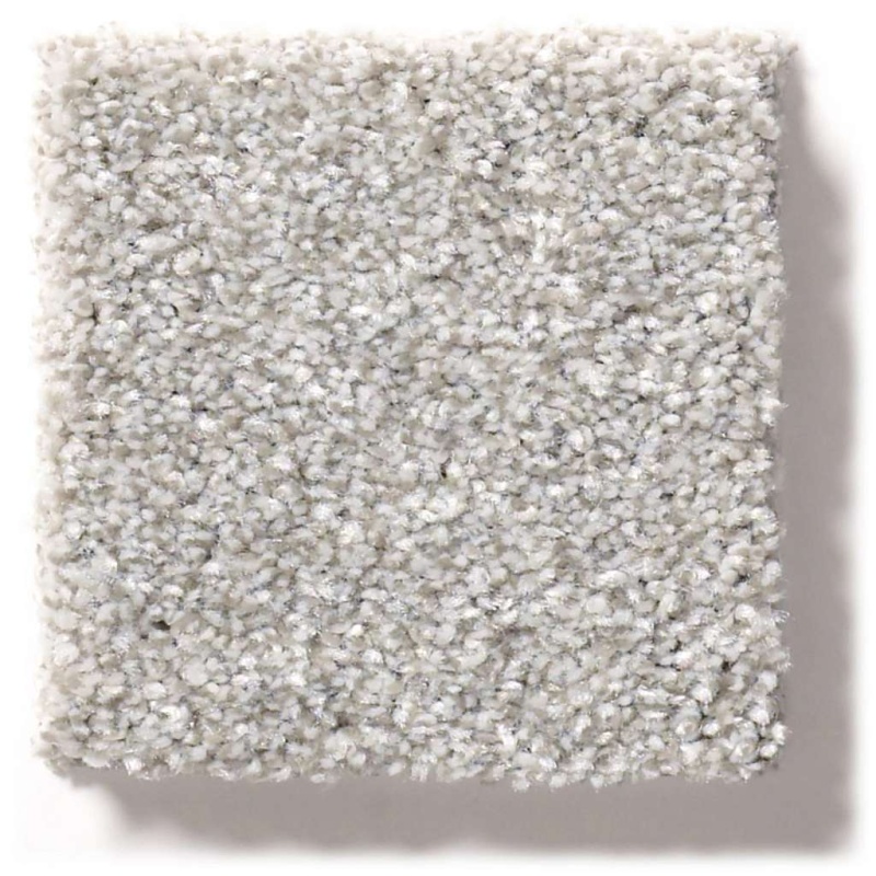 Simply The Best Make It Mine Ii Clay Polyester Carpet - Textured