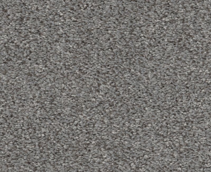 Calm Embrace I Harbor Dock Polyester Carpet - Loop