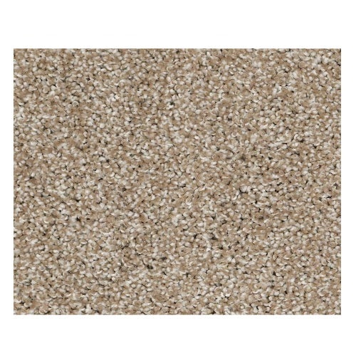 Striking Mushroom Nylon Carpet - Textured