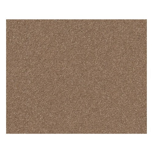 Qs529 Goal Post Nylon Carpet - Textured