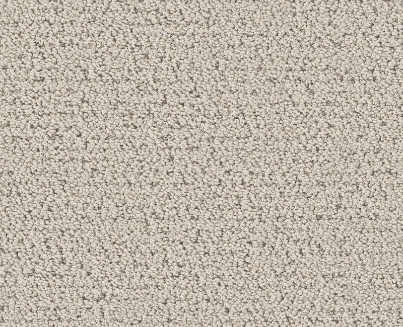 Without A Trace Almond Silk Polyester Carpet - Textured