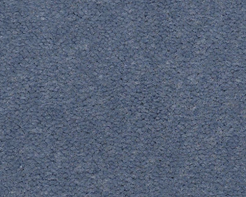 Emphatic II 30 Holland Blue Nylon Carpet - Textured