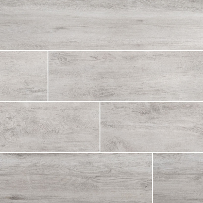 Arterra Lucas Canitia Porcelain Paver - Matte - 12" x 48"
