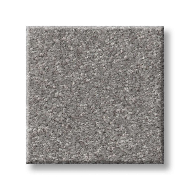 Pet Perfect Hard At Play I 12' Vintage Polyester Carpet