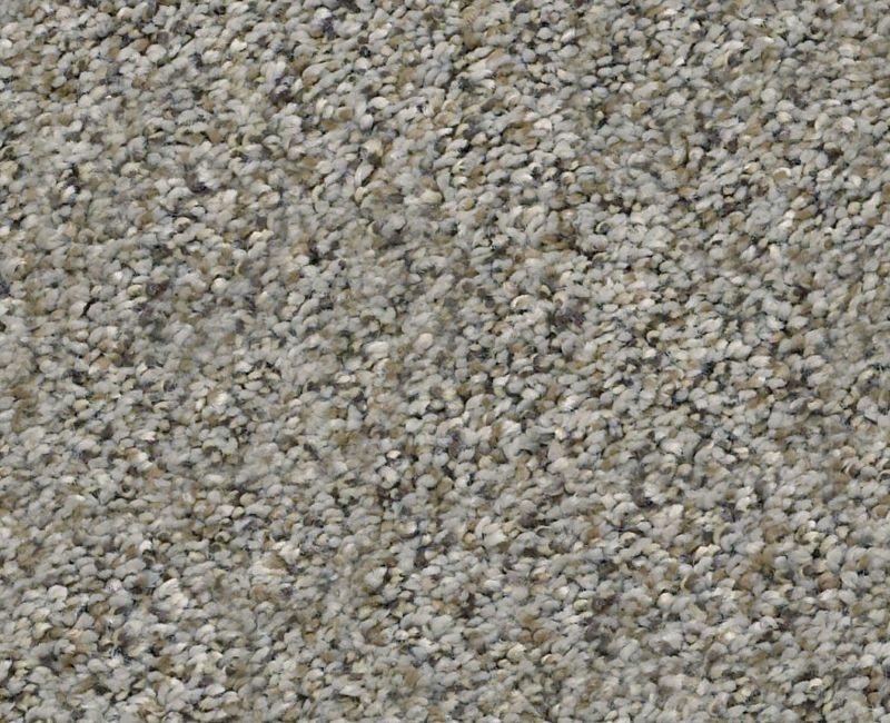 Marks The Spot II Rhino Polyester Carpet - Textured