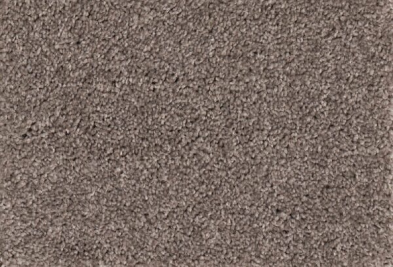 New Foundation Nitty Gritty Polypropylene Carpet - Textured