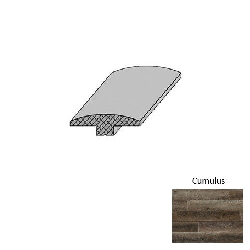Skyview Cumulus Luxury Vinyl T Molding